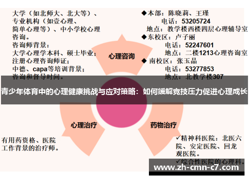 青少年体育中的心理健康挑战与应对策略：如何缓解竞技压力促进心理成长