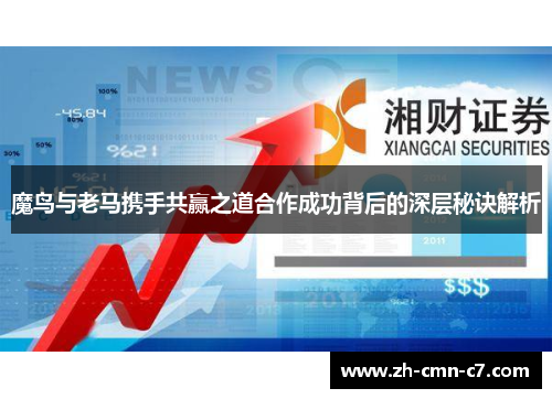 魔鸟与老马携手共赢之道合作成功背后的深层秘诀解析