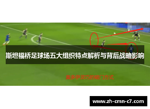 斯坦福桥足球场五大组织特点解析与背后战略影响