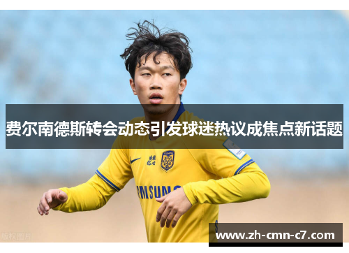 费尔南德斯转会动态引发球迷热议成焦点新话题